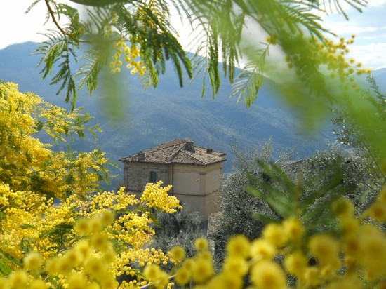 Destro frazione di longobucco
