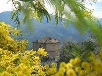 Destro frazione di longobucco