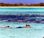 los roques snorkeling los roques snorkeling