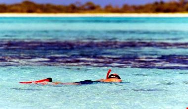 los roques snorkeling los roques snorkeling