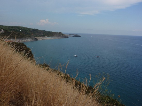 mare