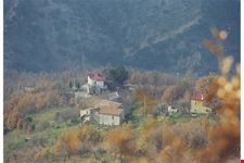 ORTIANO