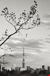 Tokyo Tower