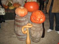 Mostra della zucca di Murta.