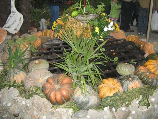 Mostra della zucca di Murta.