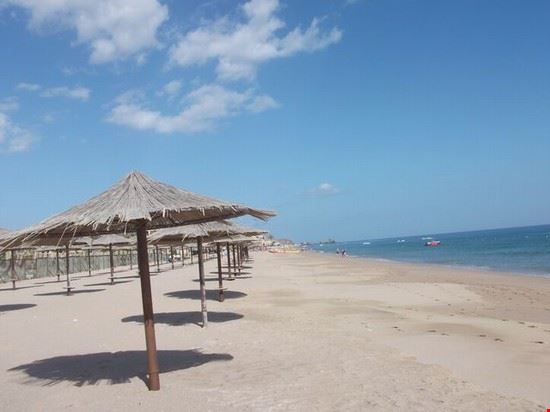 Dibba