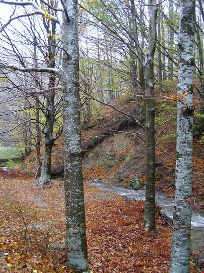  Camugnano  