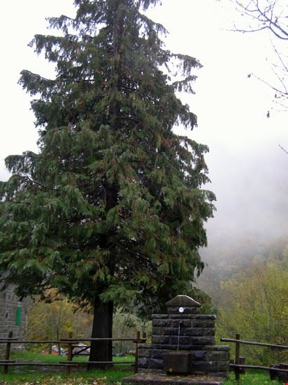  Camugnano  