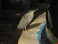 museo oceanografico