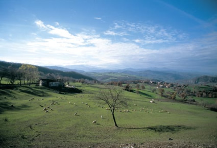Paesaggio tra Canossa e Rossena