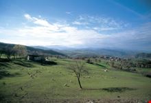 Paesaggio tra Canossa e Rossena