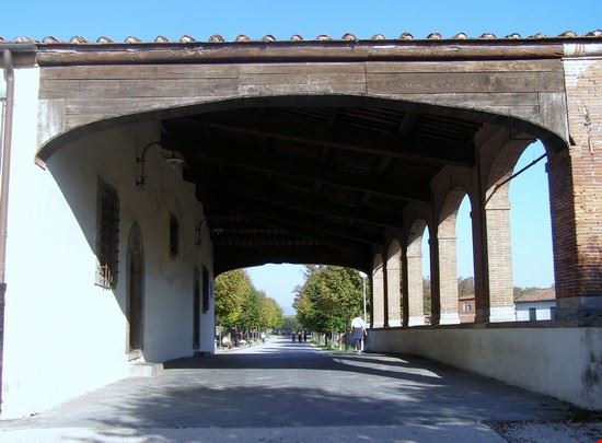  Lucca  