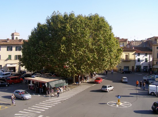 Lucca