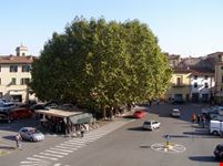 Lucca