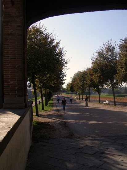 Lucca