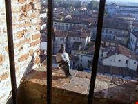 Lucca