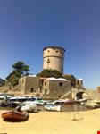 giglio campese