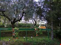 Aramo frazione di Pescia