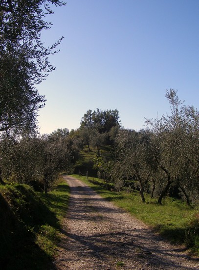 Aramo frazione di Pescia