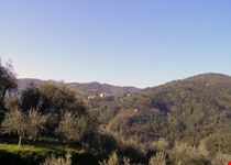Aramo frazione di Pescia