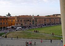 Pisa