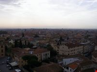 Pisa