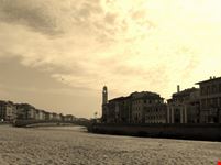 Pisa
