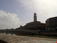 Pisa