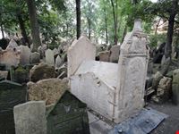 prague jewish cemetery