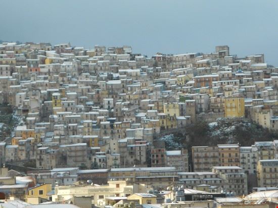  Cammarata  