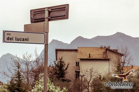 Nemoli