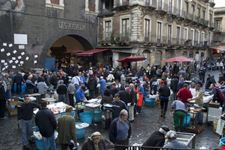 La pescheria
