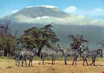 Il Parco Nazionale Arusha e sullo sfondo il Kilimanjaro