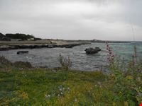 la costa