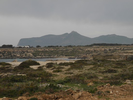 panoorama