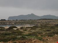 panoorama
