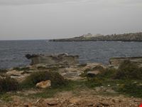 la costa