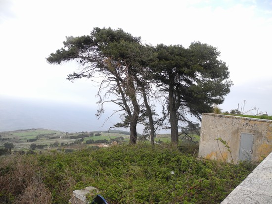 panorama