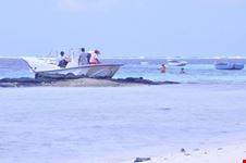 Pescatori delle Mauritius