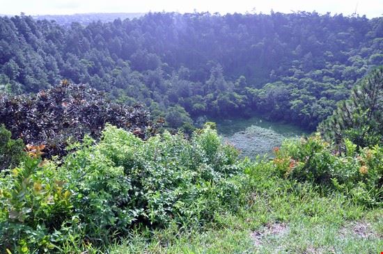  il cratere di Curepipe vulcano spento e per questo ricoperto da una fitta vegetazione  