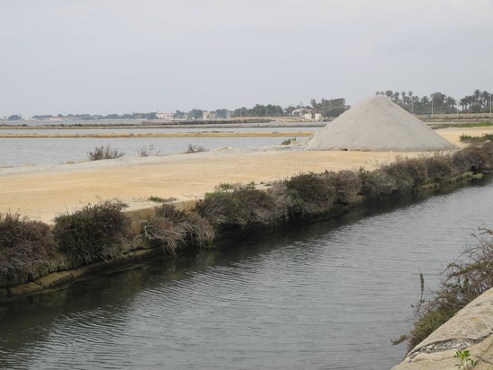 saline