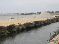 saline