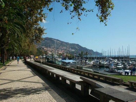  Madeira  