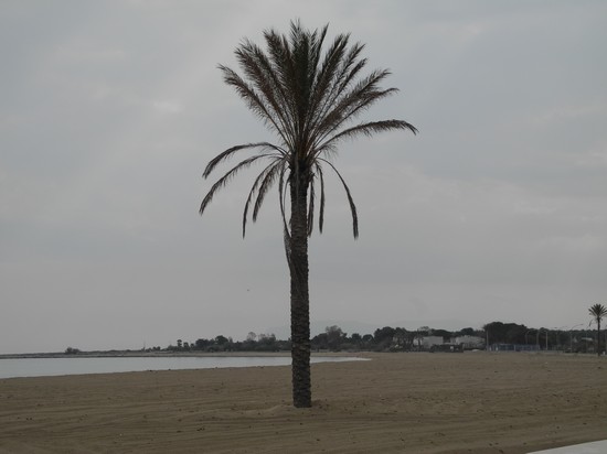 lungomare