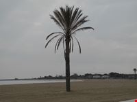 lungomare