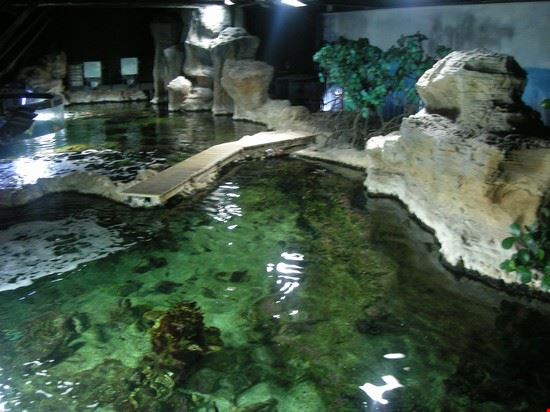 Aquarium Genoa  