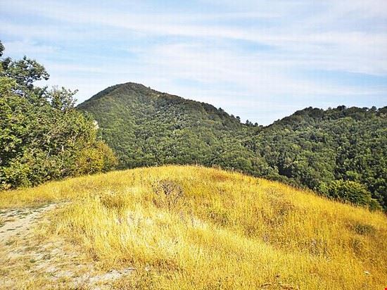  paesaggio sopra palazzuolo sul Senio  