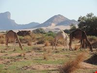DESERTO