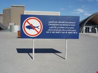 cartello