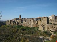 PANORAMA DI PITIGLIANO